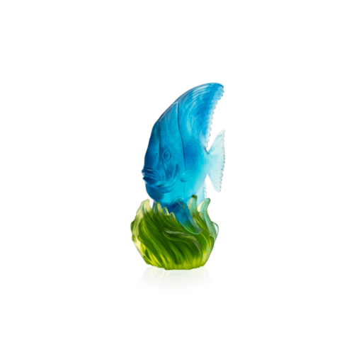 05818-Collection-Maya-Poisson-platax-moyen-modele-bleu-vert-3-600x600
