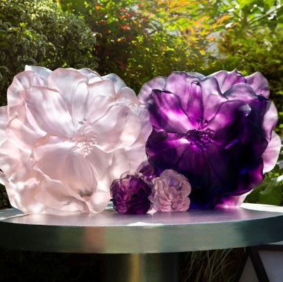 Camelia-lifestyle-2-600x404