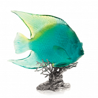 05729-3-Ange-royal-Turquoise-et-jaune-1