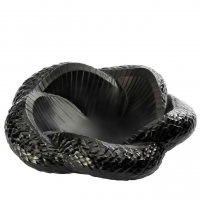 10786900---Coupe-Serpent-noir-packshot_2d9c76b8-5e3d-43ca-9de5-bc8b9646529e