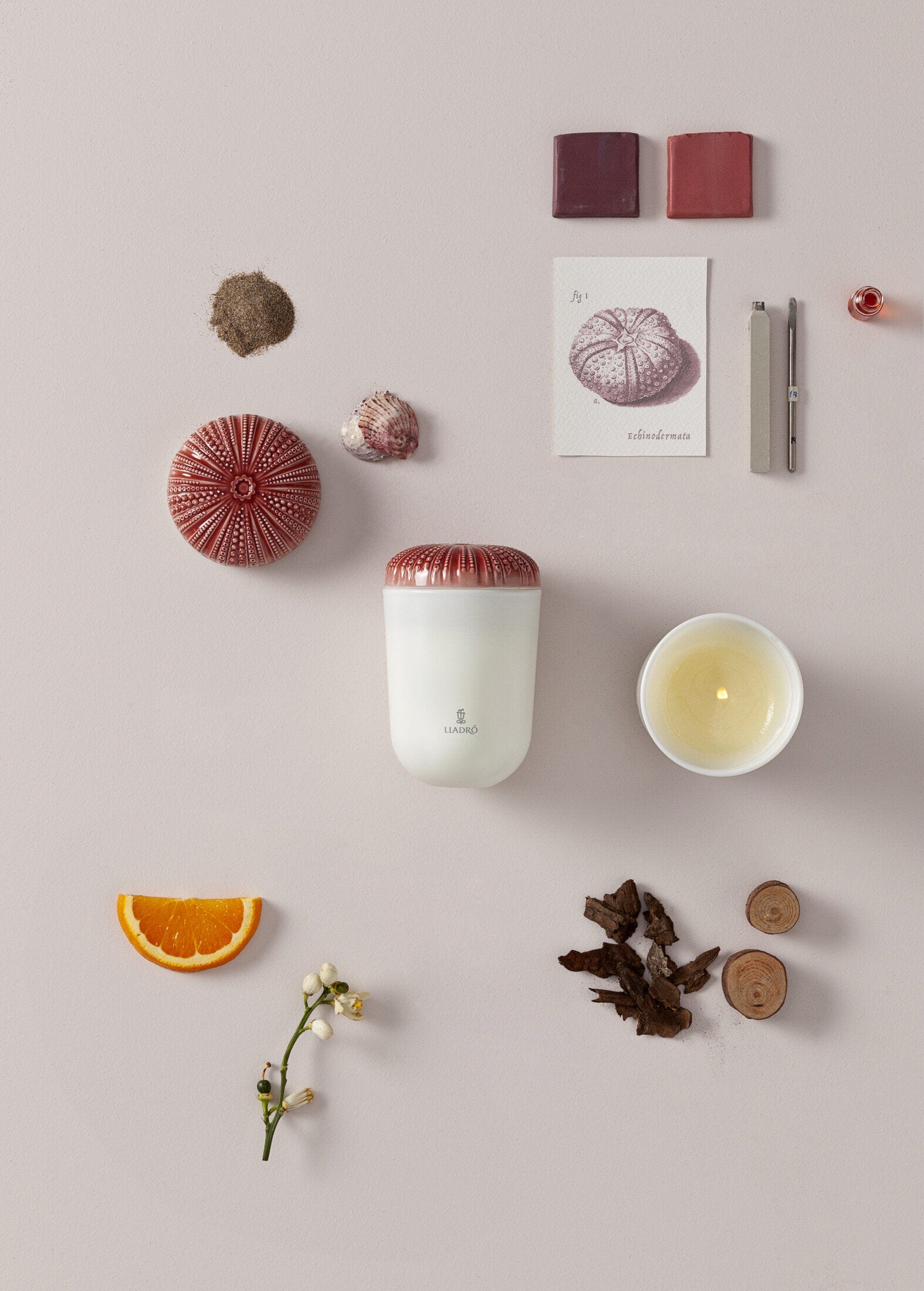 Отголоски природы — свеча «Средиземноморский пляж» — изображение 2 — LLADRÓ 01040147